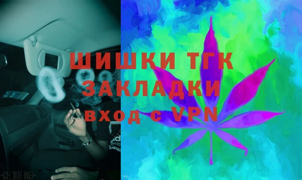 амф Володарск