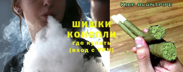 шишки Верея